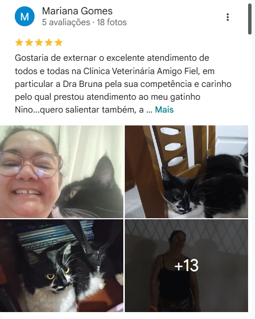 Avaliação de cliente no Google sobre o Amigo Fiel