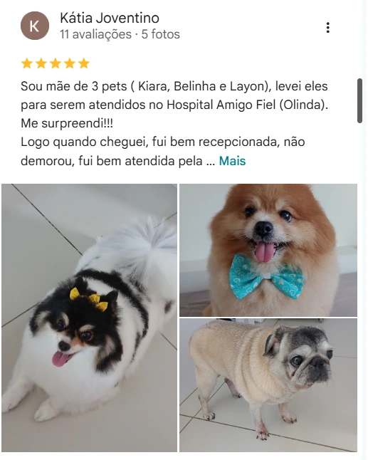 Avaliação de cliente no Google sobre o Amigo Fiel