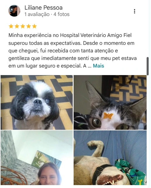 Avaliação de cliente no Google sobre o Amigo Fiel