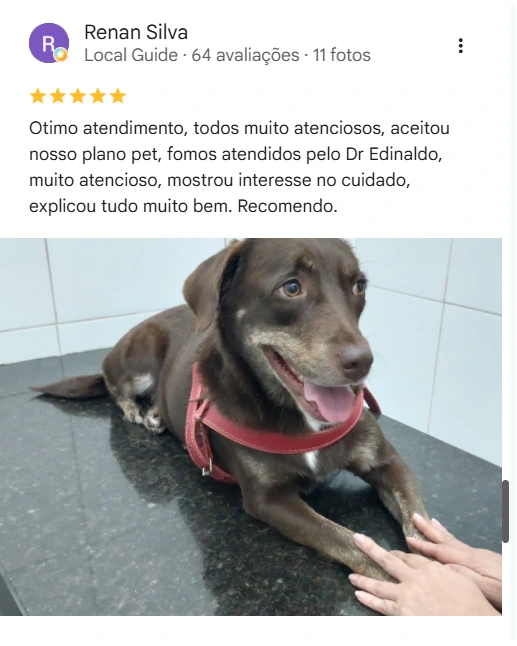 Avaliação de cliente no Google sobre o Amigo Fiel
