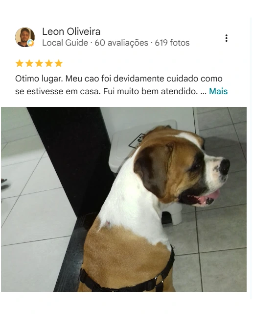 Avaliação de cliente no Google sobre o Amigo Fiel
